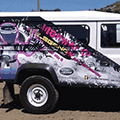 Car Wraps